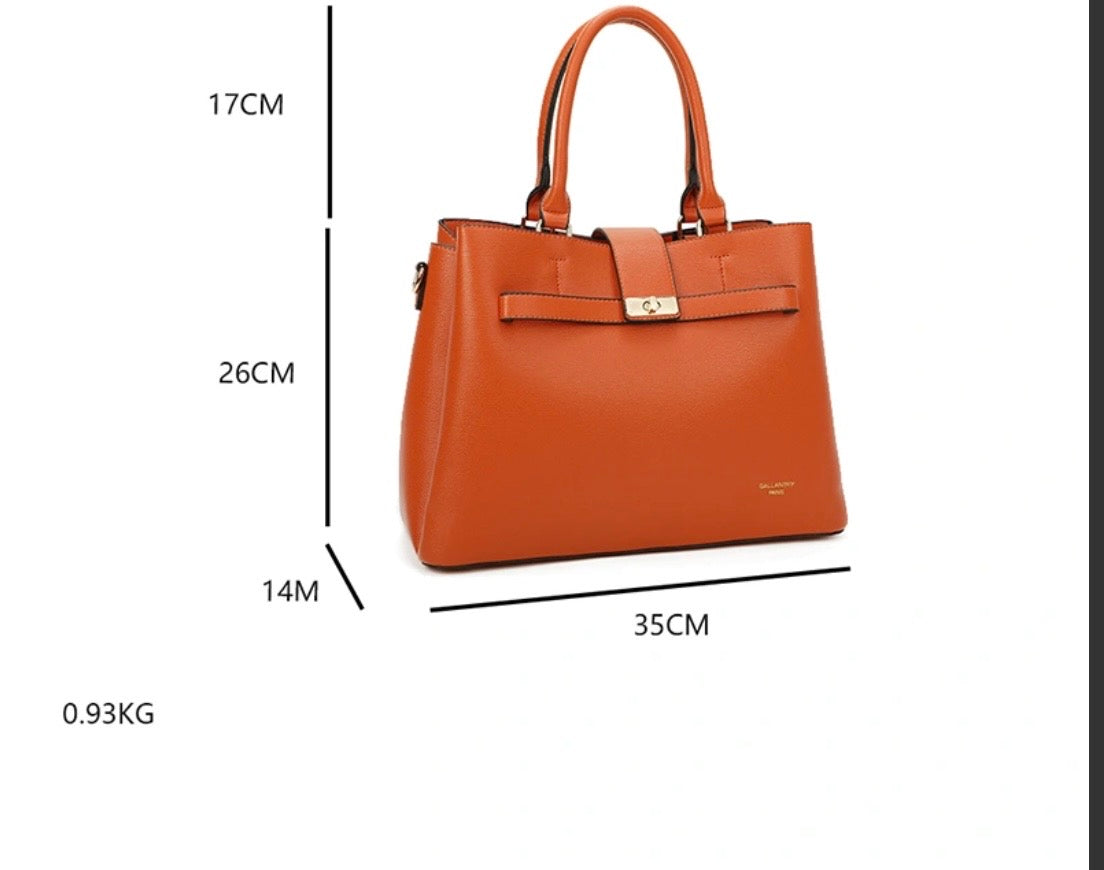 SAC Prestige Tote