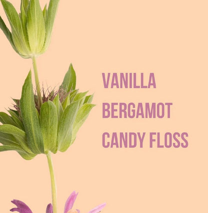 BRUME SECRET CRUSH ☁️